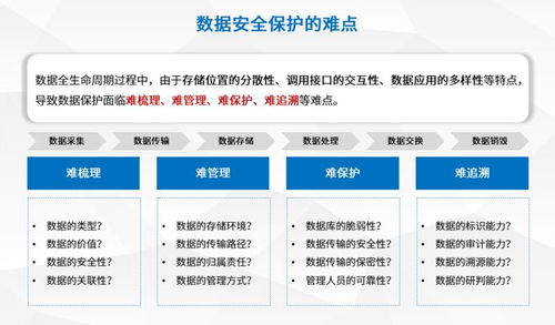 盛邦安全推出數(shù)據(jù)流轉(zhuǎn)安全服務(wù) 為數(shù)據(jù)全生命周期安全防護注入新動能