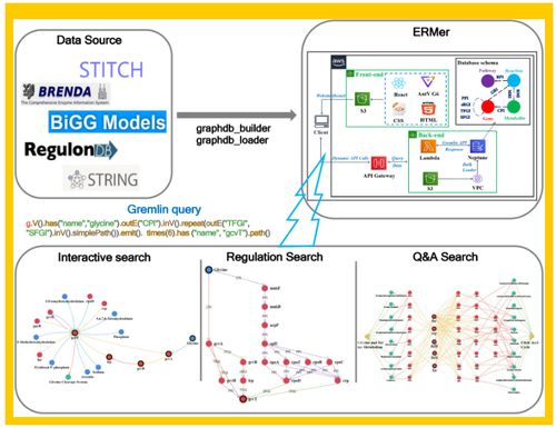 微生物領(lǐng)域的革新 Tibcas聯(lián)合亞馬遜云科技提出針對真實業(yè)務(wù)場景的信息技術(shù)咨詢服務(wù)新框架