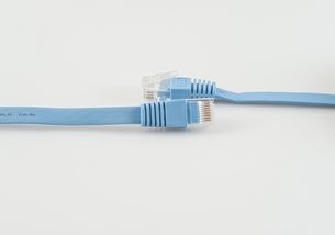 網線分類標準詳解 從五類到八類，認識不同網絡線的區別